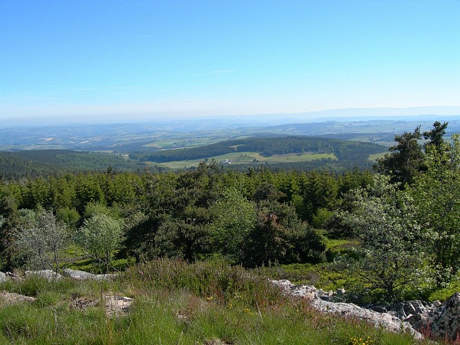 L'apprenti botaniste - Sentier du puy de la Tuile