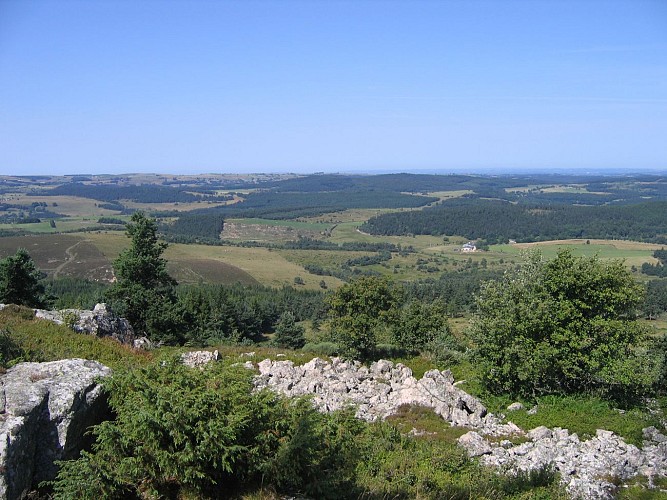 L'apprenti botaniste - Sentier du puy de la Tuile