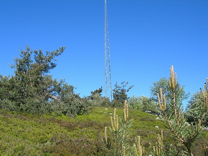 L'apprenti botaniste - Sentier du puy de la Tuile