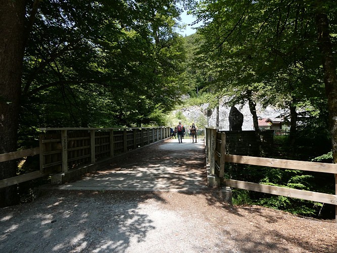Passerelle des Tines