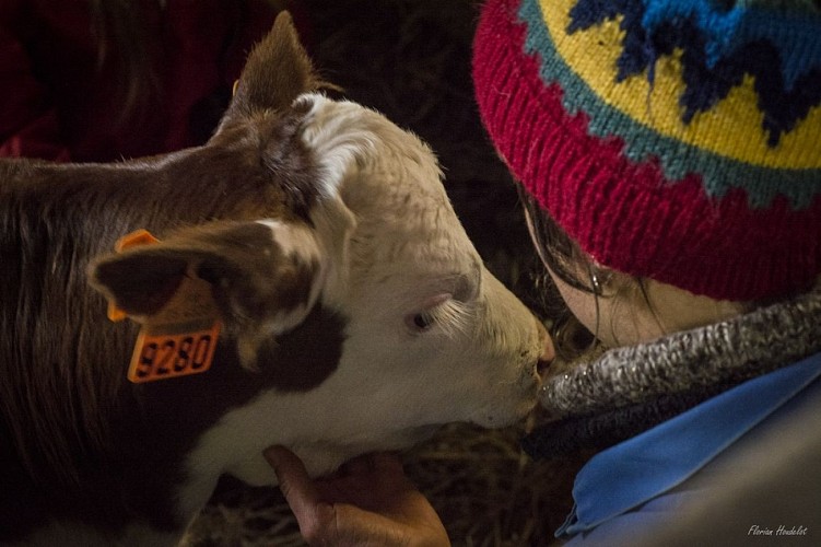 CENTRE DE VACANCES - CHALET DU SOULERET_3