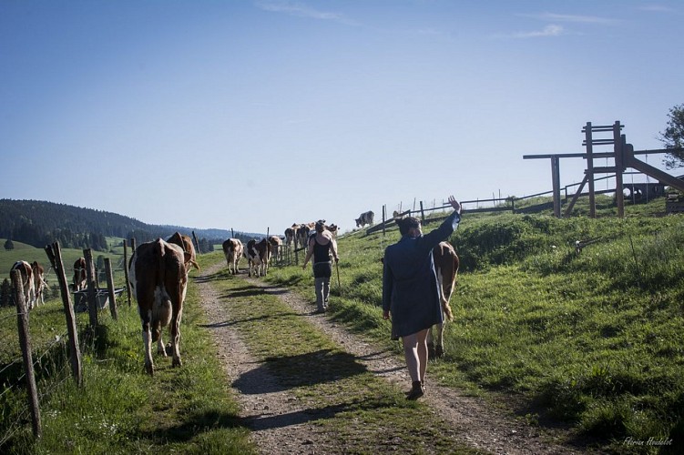 CENTRE DE VACANCES - CHALET DU SOULERET_7