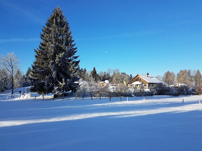GÎTE D'ÉTAPE - LE HAUT SAUGEAIS BLANC - Hiver isolé
