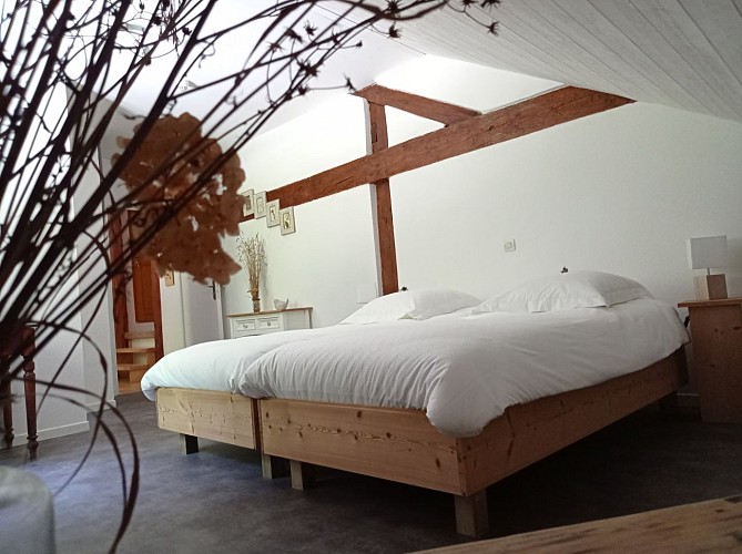 Chambre Le Chant des Chouettes