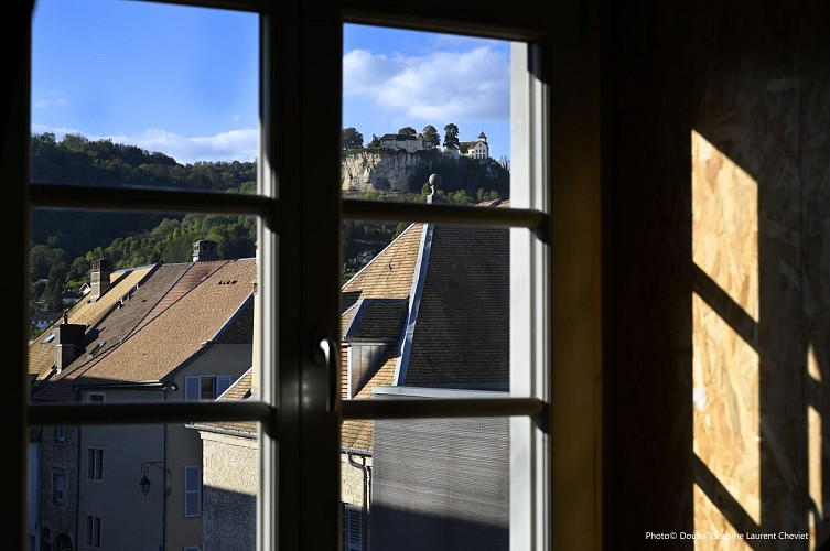 Vue sur le Château depuis le jardin d'hiver