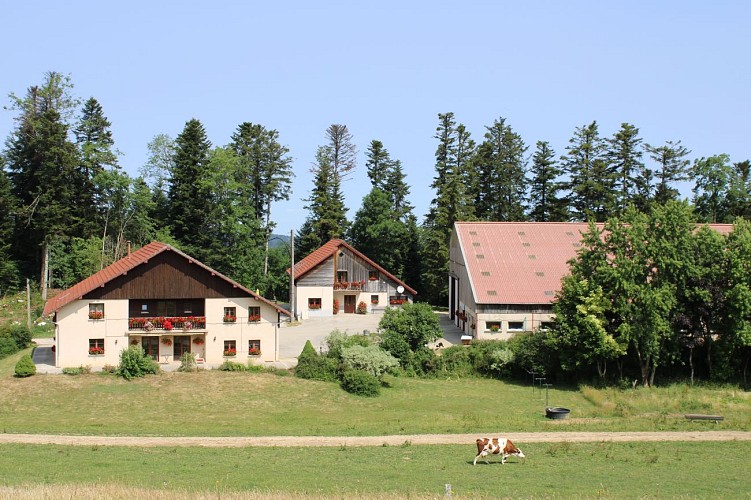 Environnement gîte