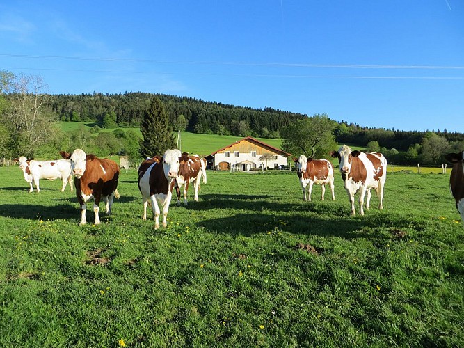 Chambres d'hôtes La Ferme du Bonheur
