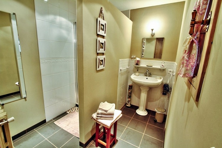 salle d'eau chambre ANGE LA GRANGE DU HERISSON_9