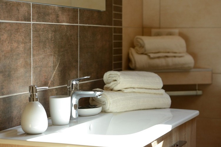 APPARTEMENT - LA FERME DE FLEURETTE_6