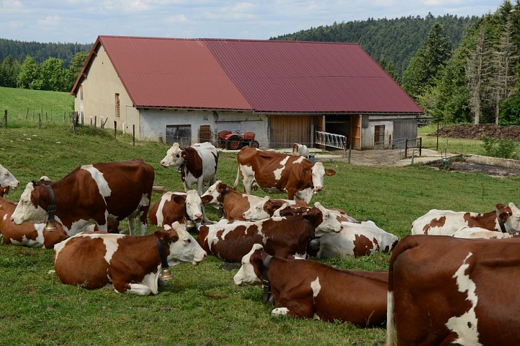 APPARTEMENT - LA FERME DE FLEURETTE_8