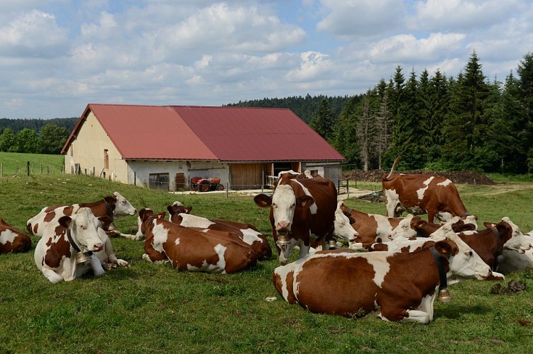 CHAMBRE D'HÔTES - LA FERME DE FLEURETTE_9