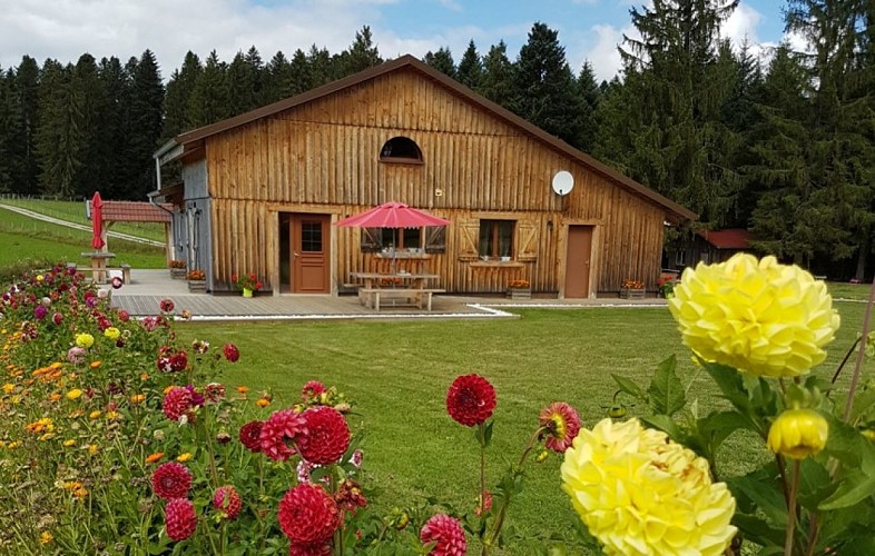 CHAMBRES D'HÔTES - AUX TROIS SAPINS_1