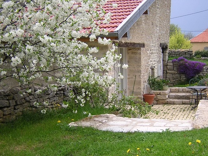 "La treille", la terrasse et l'entrée