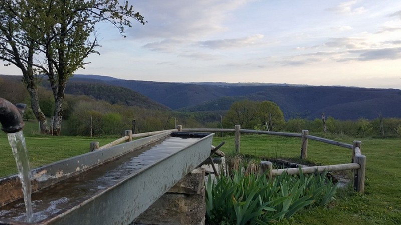 CHAMBRES D'HÔTES - AU NID DE LA GRANGE FOREST_3