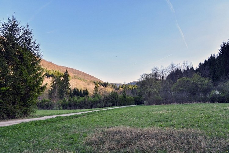 CHALET DE PÈLERIN - AU SANGLIER QUI FUME_2