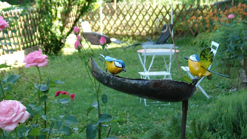 Le jardin de fleurs et d'oiseaux