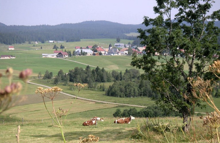 AUBERGE DE LA DISTILLERIE_1