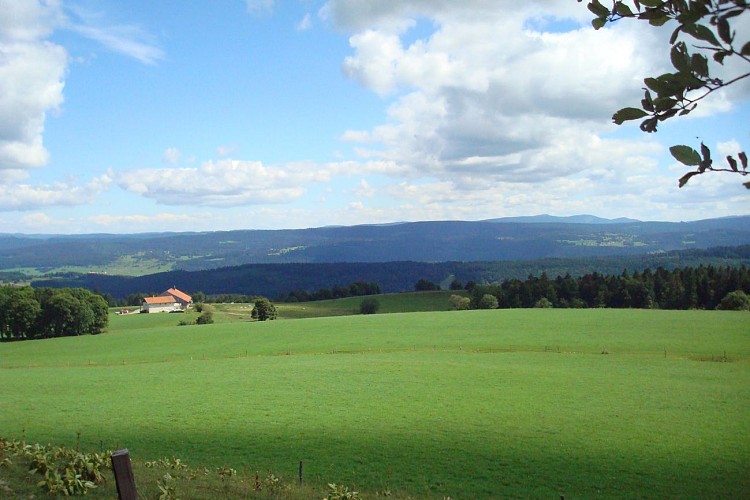 Promenade commentée Crêt Monniot Arc sous Cicon © Office de Tourisme Montbenoit