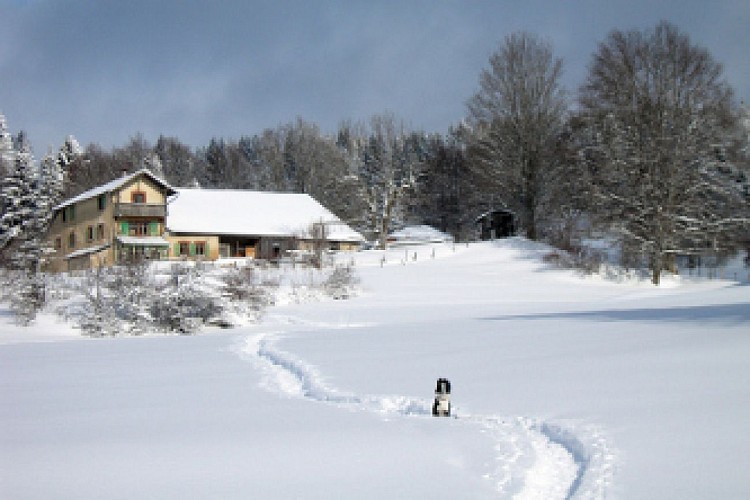RESTAURANT LA PETITE ÉCHELLE_1