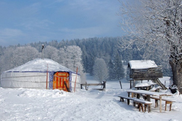 RESTAURANT LA PETITE ÉCHELLE_4