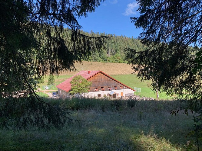 RESTAURANT - AU COEUR DES REVES - auberge-vieux-chateleu