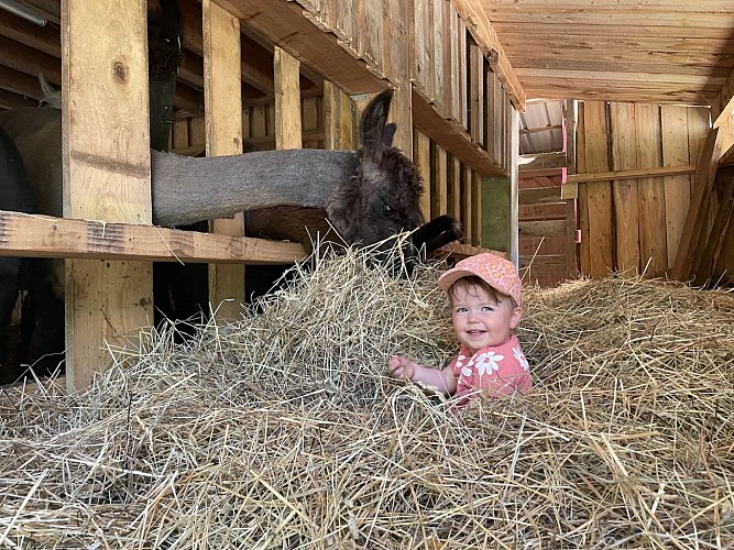 JEUNES ENFANTS A LA FERME