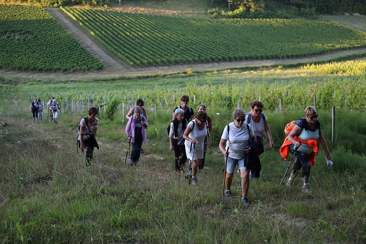 Randonnée_pédestre_©Bourg_Cubzaguais_Tourisme_(2)