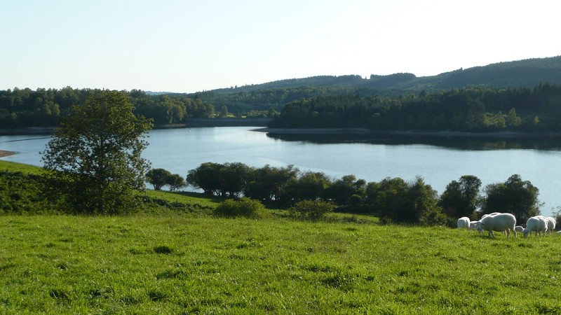 Lac du Chamet- ©Lecadet-OTCHC