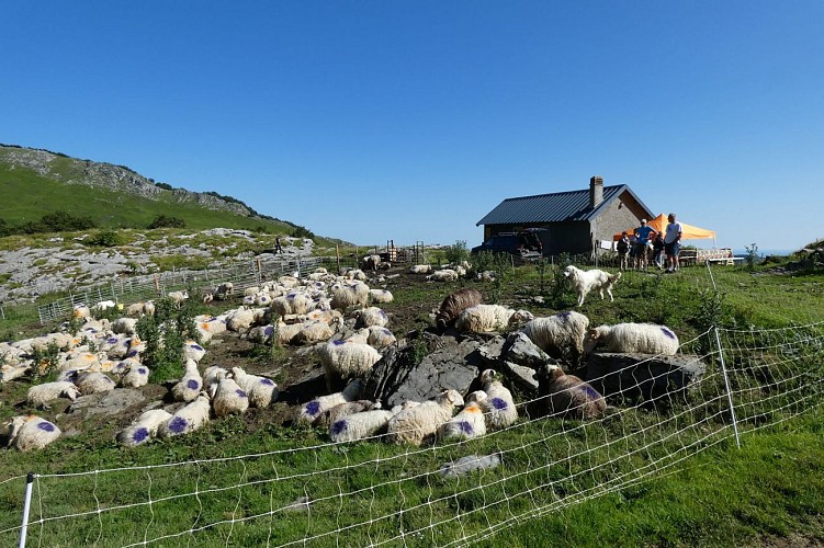 Ferme-Brouquets1©AETVB