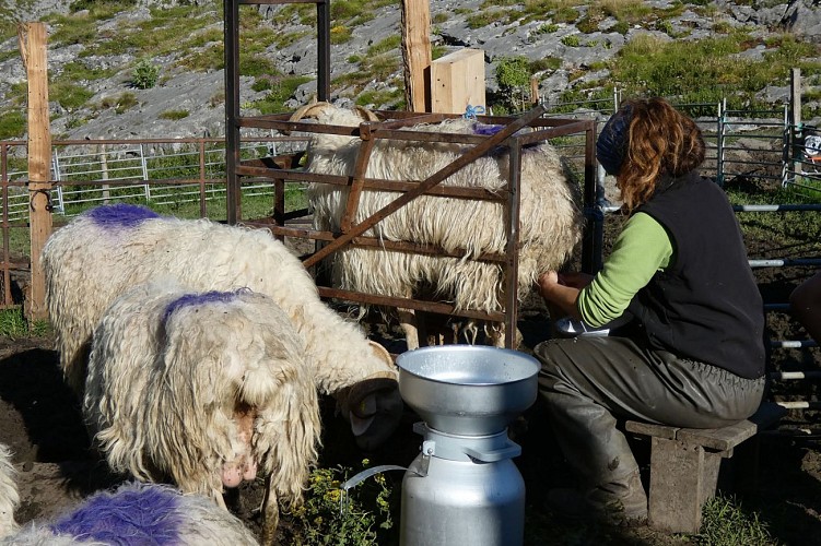 Ferme-Brouquets4©AETVB