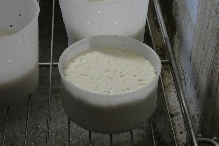 Ferme-Brouquets3©AETVB