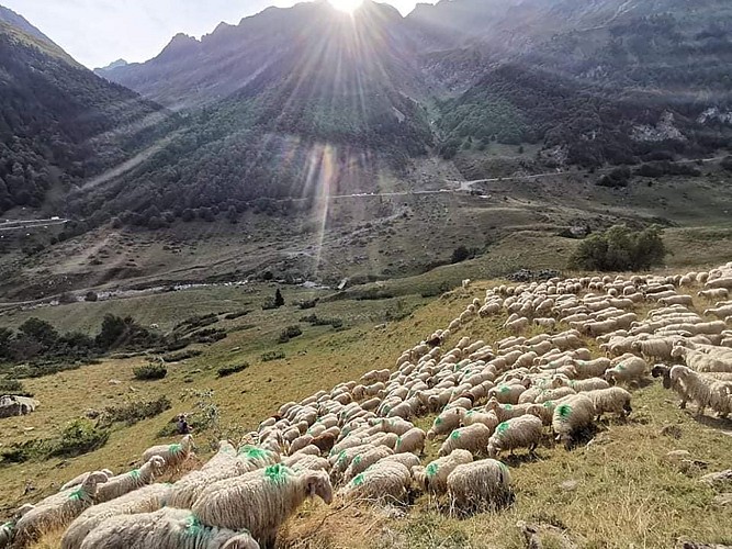 Ferme-Castaing3©Ferme_Castaing