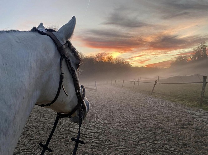 La coulée aux chevaux