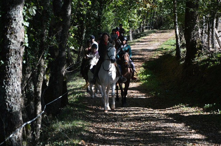 The Grésigne Equestrian Farm