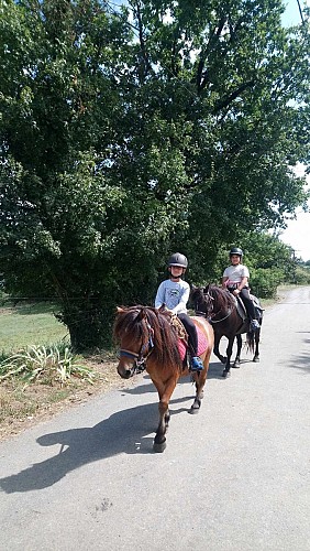 The Grésigne Equestrian Farm