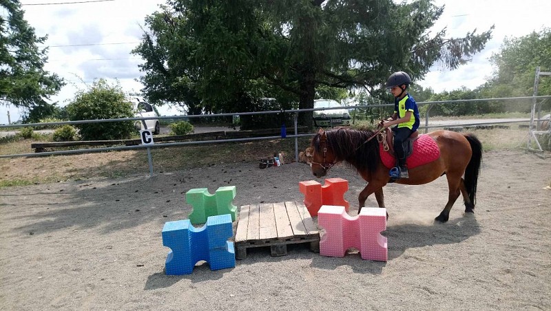 The Grésigne Equestrian Farm
