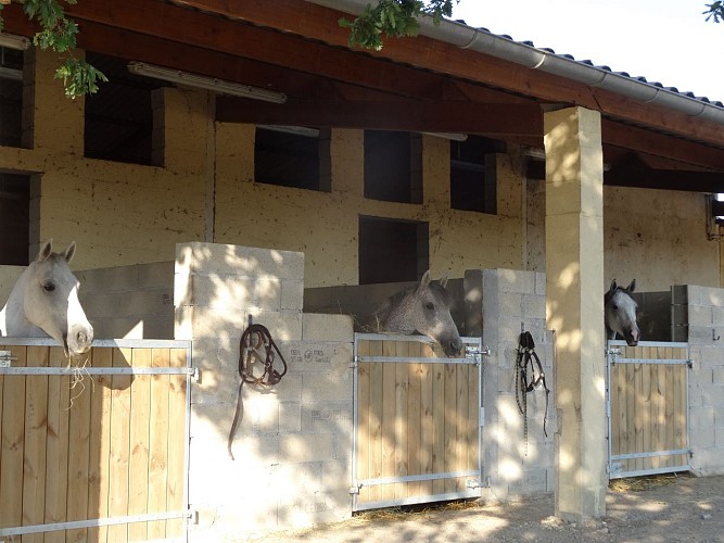 'Un Poney une Histoire' Equestrian Centre