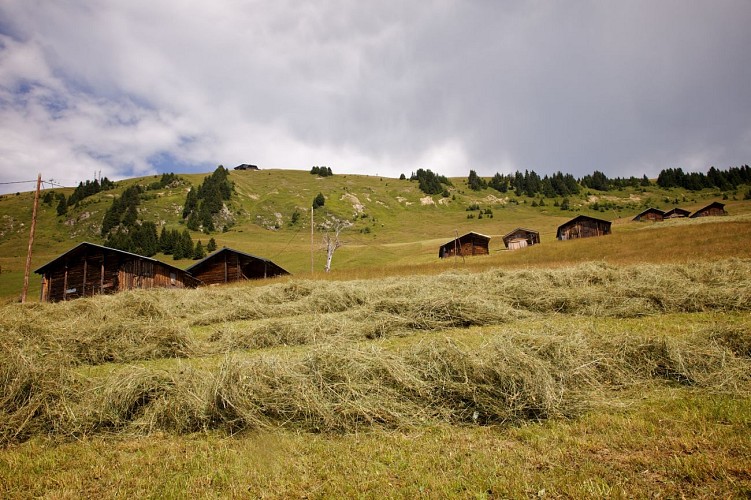 Le tour de Bisanne 1500