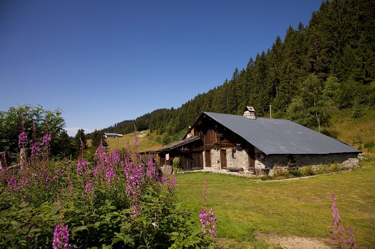 Le tour de Bisanne 1500