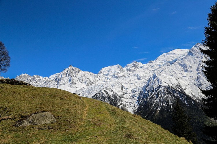 Merlet Wildlife park