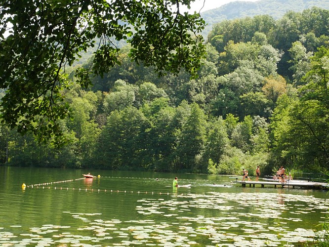 Beach of the St Jean de Chevelu Lake