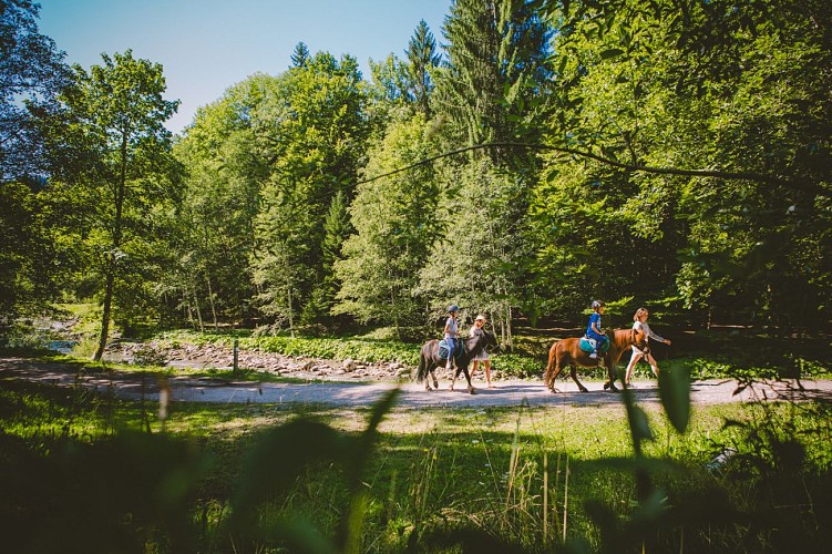 Equestrian Center