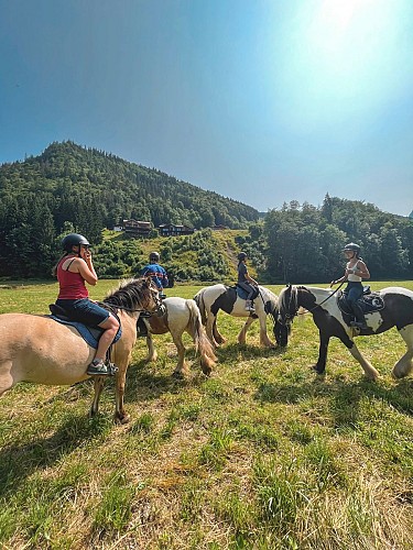 Equestrian Center