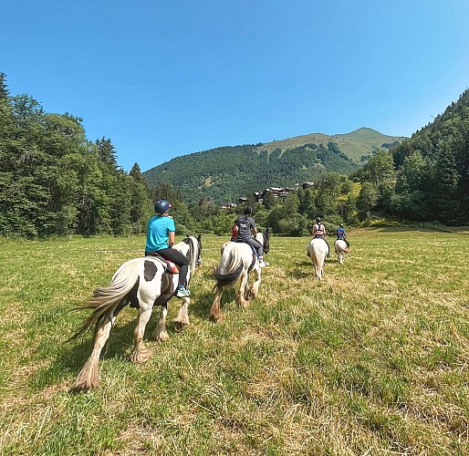 Equestrian Center