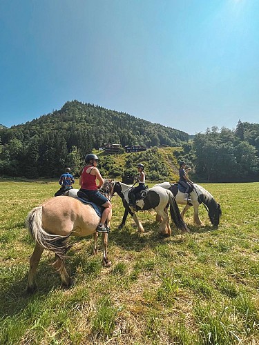 Equestrian Center