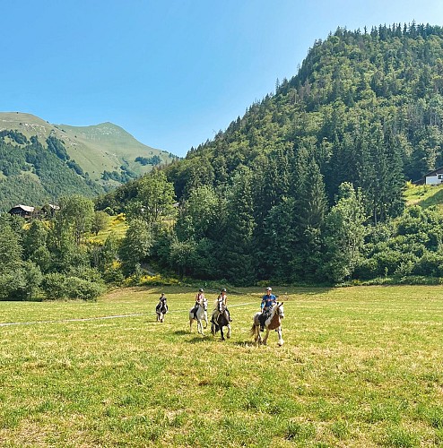 Centre Equestre