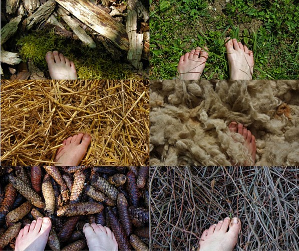 Camino descalzo: Naturaleza y sentidos