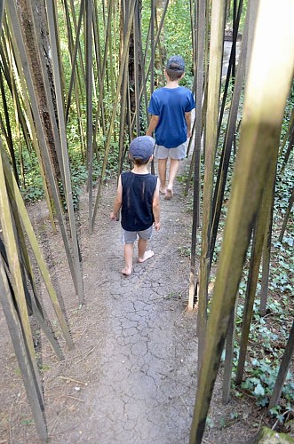 Parcours pieds nus : Nature et Sens