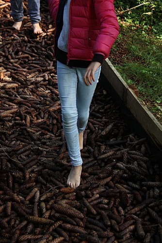 Sentiero a piedi nudi: natura e sensi