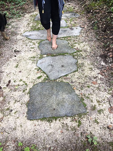 Sentiero a piedi nudi: natura e sensi